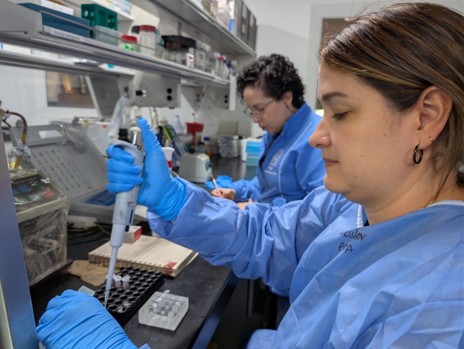 Pipeteo de muestras de gestantes durante el procesamiento de laboratorio